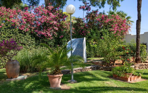 Albaranas: Fleur, Plante, Ciel, Propriété, Pot De Fleur, Botanique, La Nature, Arbre, Éclairage Public, Herbe