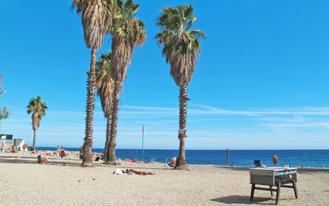 Villetta Laura: Ciel, L'Eau, La Nature, Bleu Azur, Environnement Naturel, Bleu, Plage, Arbre, Plante, Arecales