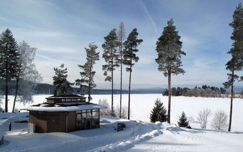 Frymburk 10: Arbre, L'Hiver, Branche, Neige, Gelé, Station De Montagne, Mélèze, À Feuilles Persistantes, Cabane En Rondins
