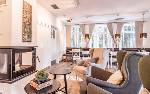 Frymburk 10: Meubles, Design Intérieur, Sol, Sol, Éclairage, Domicile, Salon, Pièce, Appartement, Chaise