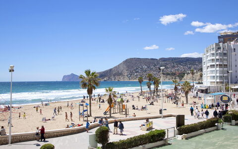 Calpe Calp 262: L'Eau, Plante, Bleu Azur, Arbre, Ciel, Piscine, Arecales, Ombre, Loisir, Immobilier