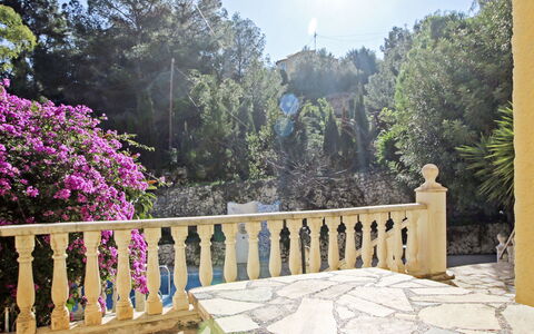 Richelieu: Fleur, Ciel, Plante, Propriété, La Nature, Arbre, Botanique, Éclairage, Clôture, Architecture