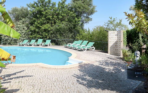 Monte Meco: Plante, Ciel, L'Eau, Piscine, Bleu Azur, Arbre, Pot De Fleur, Ombre, Mobilier De Jardin, Loisir