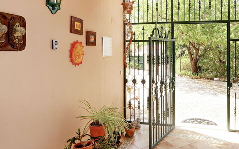 Monte Meco: Plante, Propriété, Cadre, Éclairage, Design Intérieur, Bois, Bâtiment, Plante D'Appartement, Mur, Art