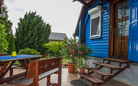 Blue: Fleur, Plante, Propriété, Fenêtre, Meubles, Pot De Fleur, Bleu, Bâtiment, Plante D'Appartement, Ombre