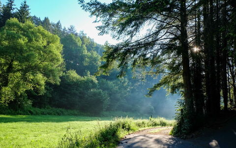 Schönecken 100: Ciel, Propriété, Plante, Arbre, Bâtiment, Lot Terre, Pente, Ombre, Asphalte, Bois
