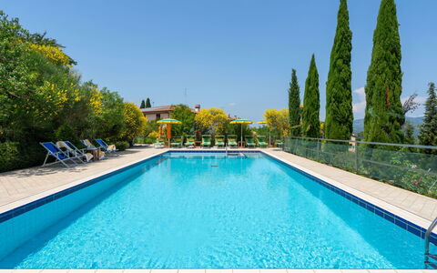La Rosa: Piscine, Propriété, Immobilier, Loisir, L'Eau, Maison, Biens, Bâtiment, Arbre, Villa