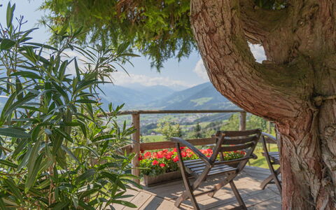 Fügen 450: Arbre, Propriété, Botanique, Immobilier, Maison, Plante, Pièce, Meubles, Paysage, Vacances