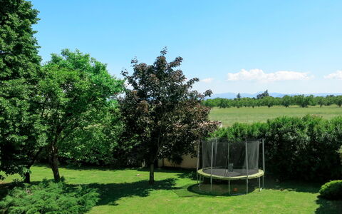 Marina: Arbre, Vert, Paysage Naturel, Suppression Des Plantes Ligneuses, Lot Terre, Plante, Herbe, Arbuste, Jardin, Parc