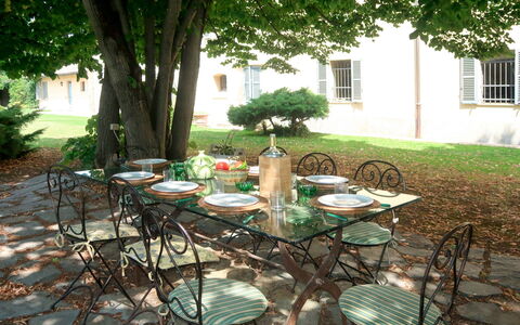 Marina: Table, Tableau De Plein Air, Meubles, Botanique, Arbre, Arrière-Cour, Chaise, Cour, Patio, Nappe De Table
