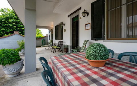 Casa della Peschiera: Plante, Meubles, Propriété, Table, Chaise, Pot De Fleur, Bâtiment, Plante D'Appartement, Fenêtre, Éclairage