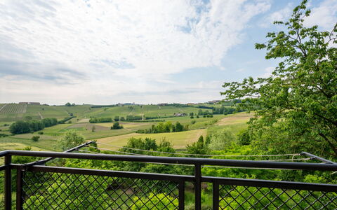 Casa della Peschiera: Nuage, Ciel, Plante, La Nature, Paysage Naturel, Feuille, Arbre, Environnement Naturel, Clôture, Lot Terre