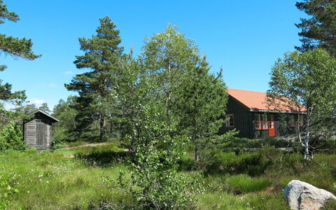 Førevanns Hytta: Ciel, Plante, Propriété, Feuille, Arbre, Paysage Naturel, Mélèze, Lot Terre, Végétation, Maison