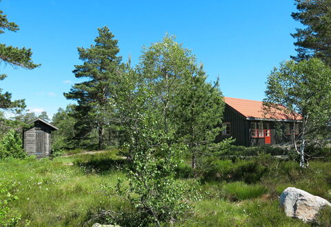 Førevanns Hytta: Ciel, Plante, Propriété, Feuille, Arbre, Paysage Naturel, Mélèze, Lot Terre, Végétation, Maison