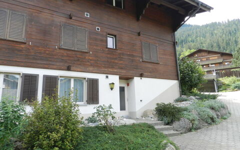 Diamant: Plante, Bâtiment, Fenêtre, Lot Terre, Maison, Arbre, Chalet, Porte, Toit