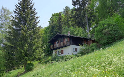 Chalet Ninette: Plante, Communauté Des Plantes, Ciel, Bâtiment, Paysage Naturel, Maison, Arbre, Mélèze, Lot Terre, Fenêtre