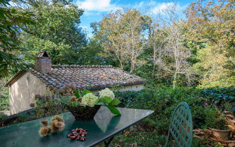 Casa Di Lilli: Feuille, La Nature, Végétation, Branche, Arbuste, Communauté Des Plantes, Printemps, Jardin, Couverture De Sol, Brindille