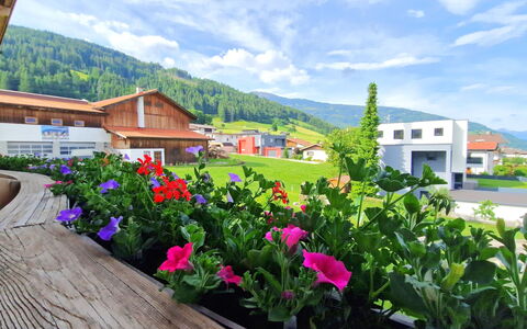 Christine: Colline, Printemps, Jardin, Chaîne De Montagnes, Couverture De Sol, Vallée, Champ, Aménagement Paysager, Cour, Crête