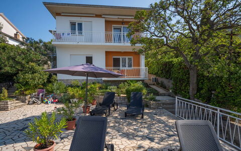 Iris: Plante, Bâtiment, Ciel, Propriété, Meubles, Fenêtre, Pot De Fleur, Arbre, Chaise, Maison