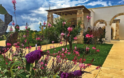 Tenuta Vigna Corallo: Fleur, Jardin, Plante, Propriété, Cour, Domicile, Ciel, Maison, Zone Résidentielle, Botanique