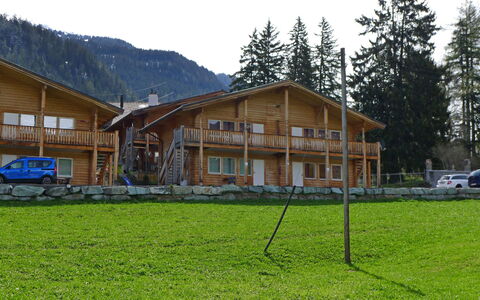 Sur Baselgia: Propriété, Maison, Domicile, Immobilier, Bâtiment, Lot Terre, Montagne, Chalet, Cabane En Rondins, Herbe