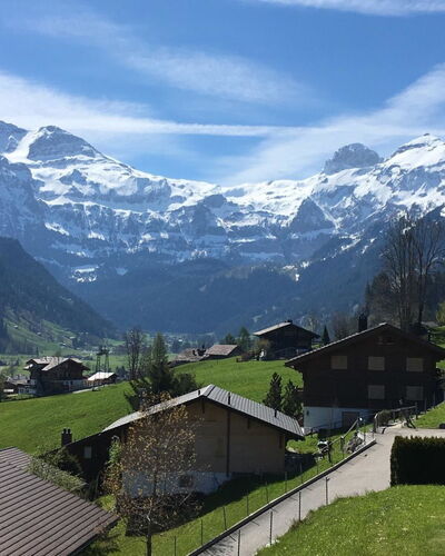 Chalet Waldchutz - Wohnung Anax