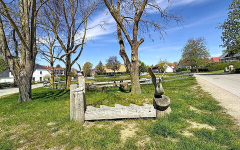 Fip-Ferienpark (Insel Poel): Herbe, Tronc, Pelouse, Jardin, Aménagement Paysager, Parc, Ombre, Cour, Extérieur Banc, Passerelle