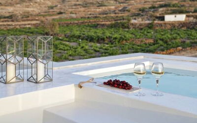 Logement:&nbsp;Vinsanto 1.1