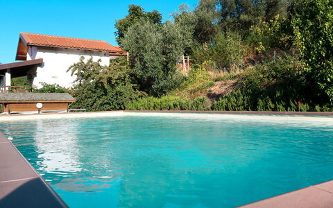 Vendone 608: L'Eau, Ciel, Propriété, Bâtiment, Plante, Piscine, Bleu Azur, Arbre, Ombre, Rectangle