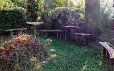 Vendone 608