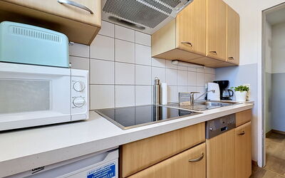 Logement:&nbsp;Alpenchalet 678.1