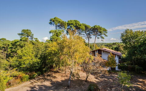 Résidence le Parc: La Nature, Végétation, Propriété, Arbre, Immobilier, Région Sauvage, Environnement Naturel, Réserve Naturelle, Ciel, Communauté Des Plantes