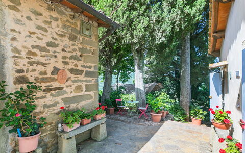 Ridaldi: Plante, Fleur, Bâtiment, Propriété, Pot De Fleur, Plante D'Appartement, Surface De La Route, Arbre, Architecture, Sol