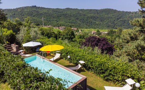 Ridaldi: Piscine, Arbuste, Recours, Jardin, Eco Hôtel, Aménagement Paysager, Hacienda, Arrière-Cour, Biens, Ombre