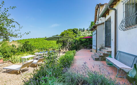 Ridaldi: Arbuste, Jardin, Printemps, Cour, Aménagement Paysager, Arrière-Cour, Balcon