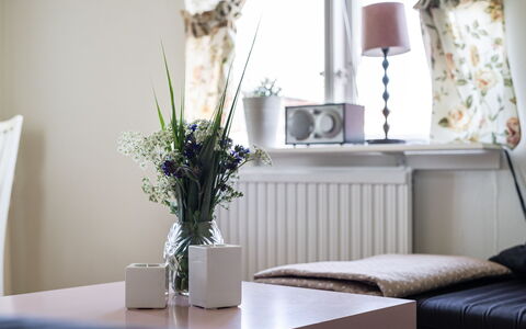 Bergkvara: Propriété, Plante, Table, Blanc, Bois, Branche, Textile, Design Intérieur, Fenêtre, Brindille