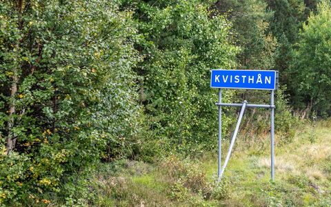 Kvisthån Tallen: Plante, Communauté Des Plantes, Paysage Naturel, Lot Terre, Herbe, Couverture De Sol, Arbuste, Arbre, Famille Grass, Prairie