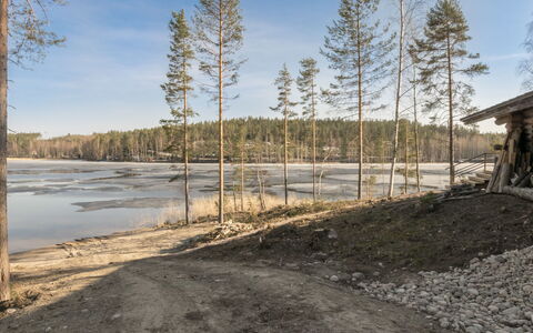 Villa Moose: Bois, Paysage, Banque, Forêt, Tronc, Rive, Des Bois, Mélèze