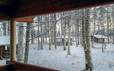 Niinimökki: Arbre, Banque, Maison, Chalet, Lac, Étang, Forêt, Cabane En Rondins