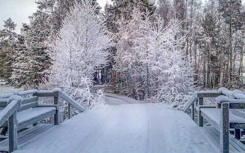 Niinimökki: Arbre, Banque, Maison, Chalet, Lac, Étang, Forêt, Cabane En Rondins