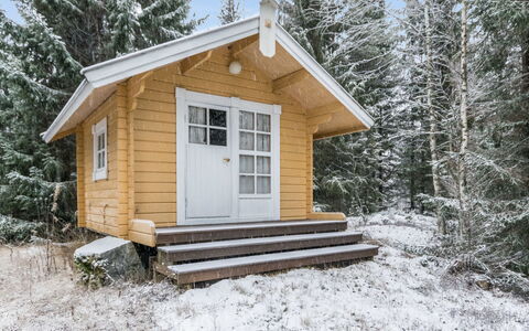 Käenpesä: Bois, Sol, Sol, Meubles, Parquet, Design Intérieur, Lit Superposé, Pièce, Tache De Bois, Dur