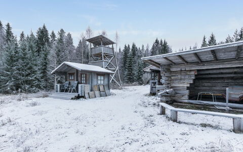 Käenpesä: Bois, Sol, Sol, Meubles, Parquet, Design Intérieur, Lit Superposé, Pièce, Tache De Bois, Dur