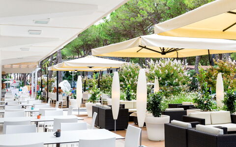 Cavallino 663: Plante, Meubles, Ombre, Design Intérieur, Chaise, Mobilier De Jardin, Loisir, Arbre, Ville, Table Basse