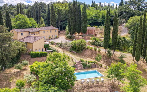 Villa Bacco: Arbre, Arbuste, Paysage, Domicile, Maison, Lot Terre, Biens, Zone Rurale, Jardin, Aménagement Paysager