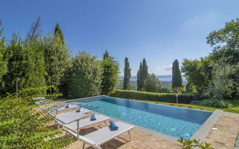 Nicoletta: L'Eau, Plante, Ciel, Propriété, Piscine, Bleu Azur, Arbre, Végétation, Paysage Naturel, Herbe