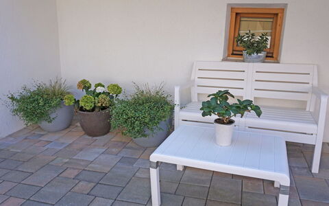 Christine: Plante, Propriété, Plante D'Appartement, Pot De Fleur, Fleur, Table, Bâtiment, Rectangle, Bois, Cadre