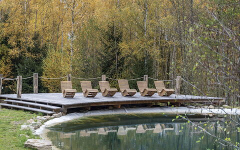 Srub Kuří: L'Eau, Plan D'Eau, La Nature, Environnement Naturel, Paysage Naturel, Cours D'Eau, Banque, Réflexion, Lac, Forêt