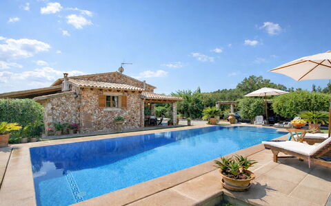 Mavi: Piscine, Recours, Loisir, Biens, Eco Hôtel, Villa, Vacances, Caractéristique De L'Eau, Hacienda, Chaise