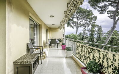 Les Pins D'Alep