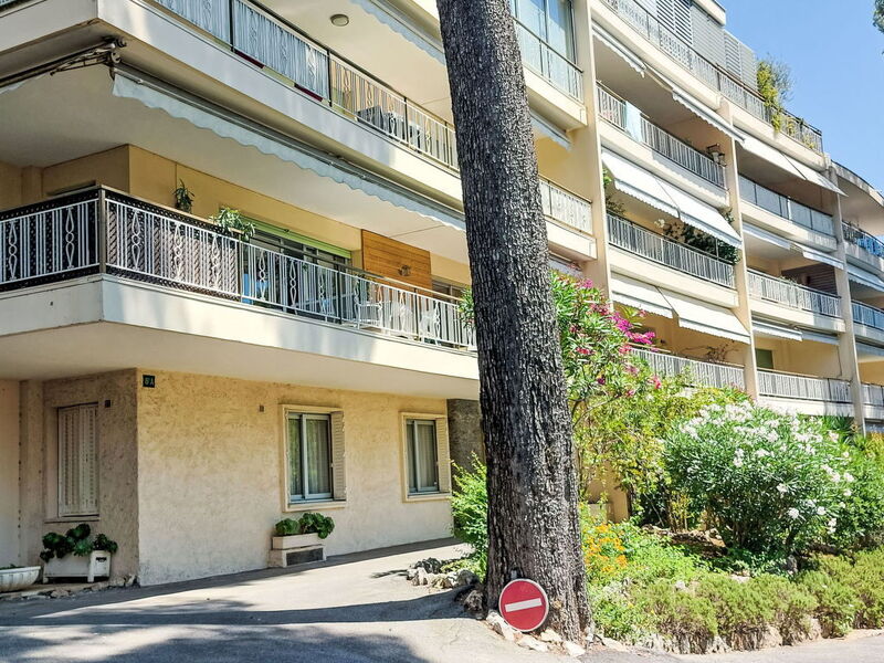 Les Pins D'Alep